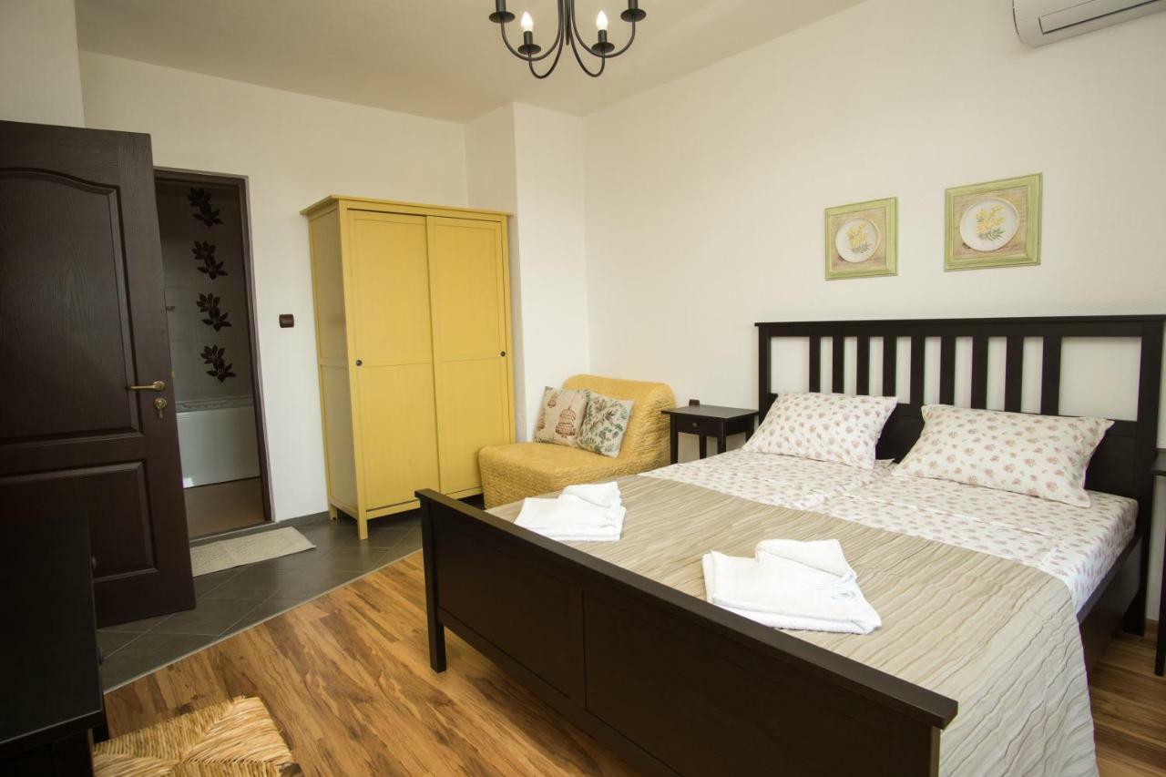 Villa Pri Shtarkela Brodilovo Exteriér fotografie